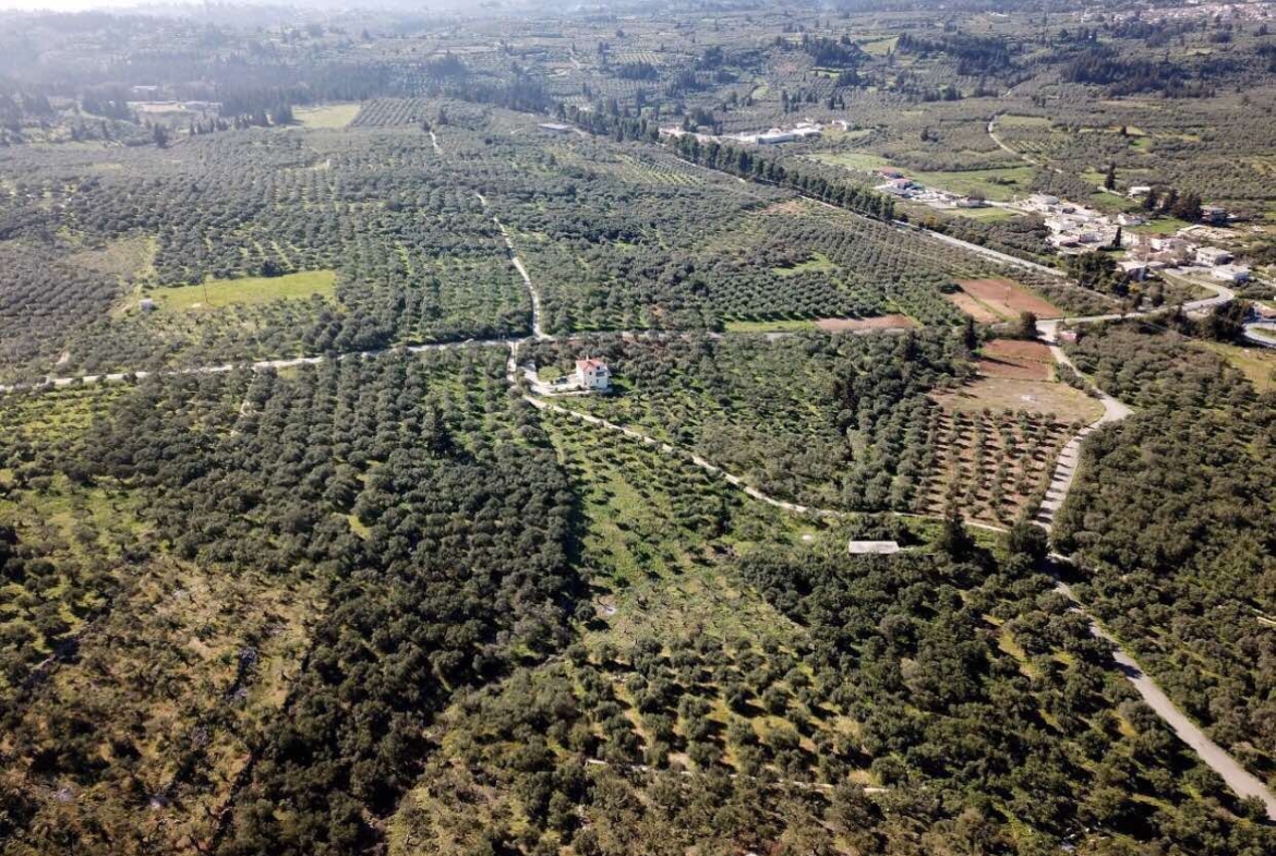 Listing photograph 2 of 8 of the land in Kaina, published by Crete Island Real Estate.