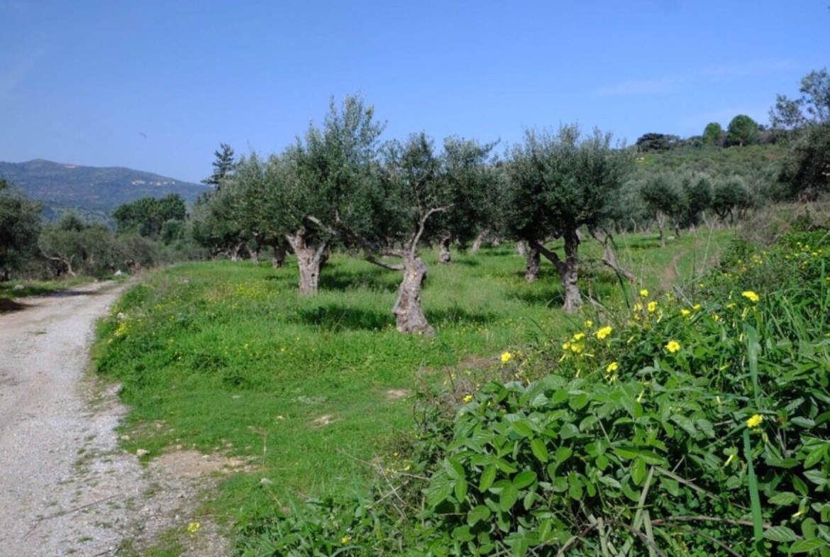 Listing photograph 3 of 8 of the land in Kaina, published by Crete Island Real Estate.