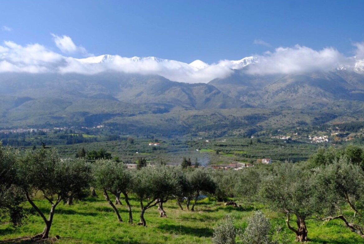 Listing photograph 5 of 8 of the land in Kaina, published by Crete Island Real Estate.
