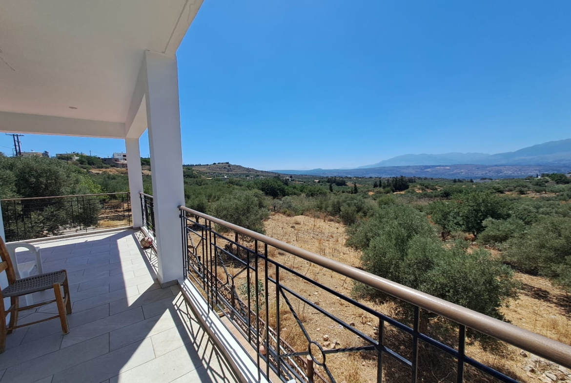 whatsapp image 2025 07 15 at 1.11.32 pm (1)