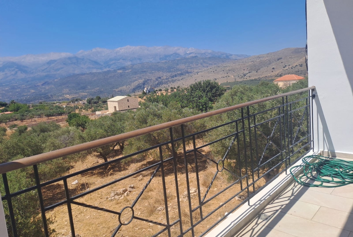 whatsapp image 2025 07 15 at 1.11.32 pm