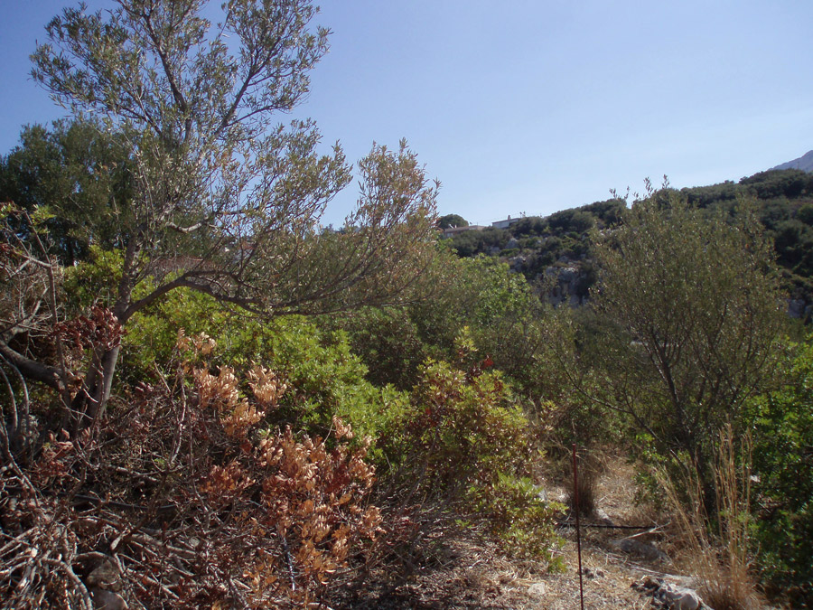 almyria plot for sale walking distance to the beach 9