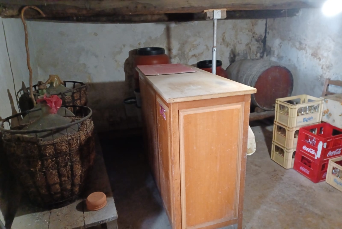 whatsapp image 2026 03 04 at 10.16.25 am