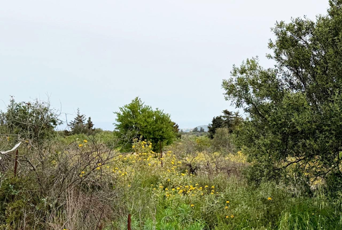 whatsapp image 2026 04 16 at 10.20.20 am