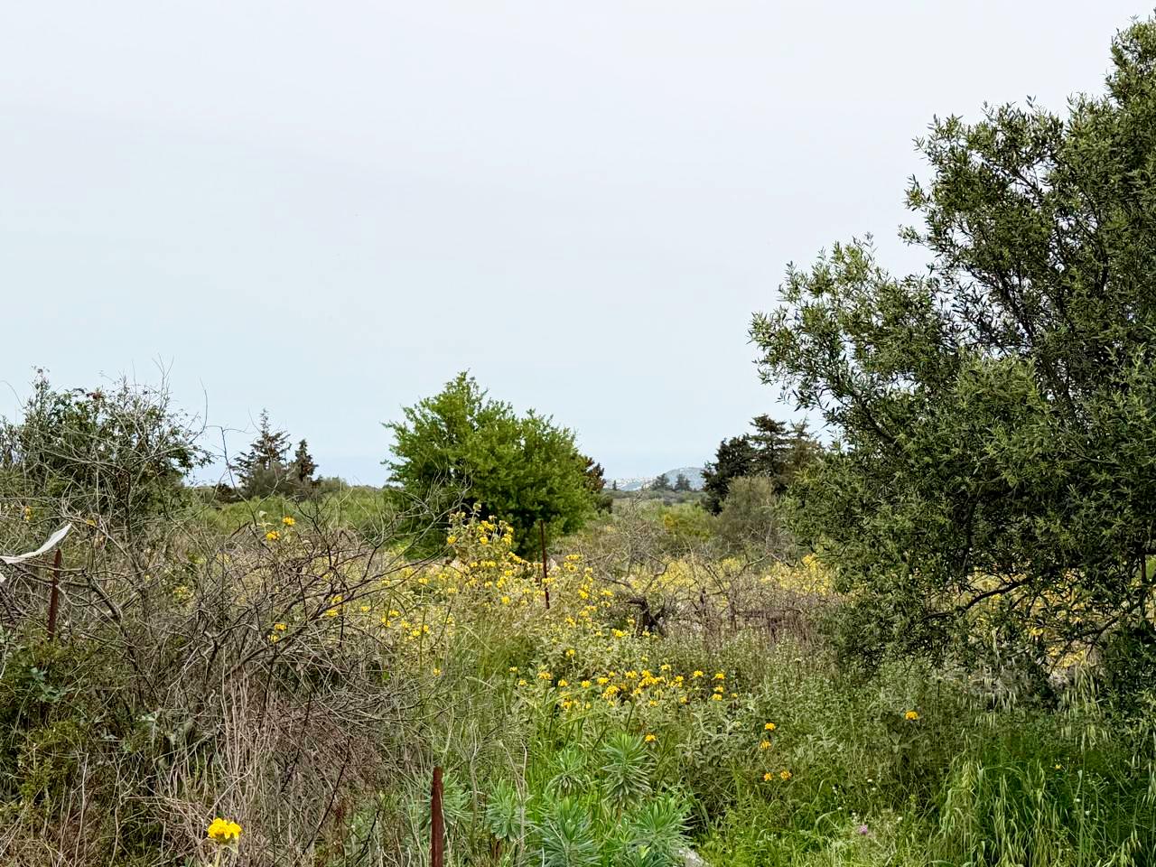 whatsapp image 2026 04 16 at 10.20.20 am