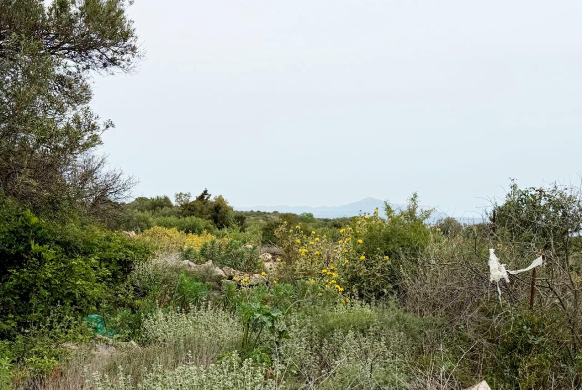 whatsapp image 2026 04 16 at 10.20.22 am