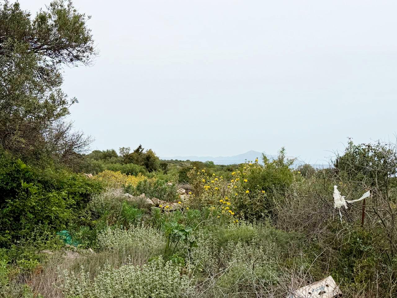 whatsapp image 2026 04 16 at 10.20.22 am