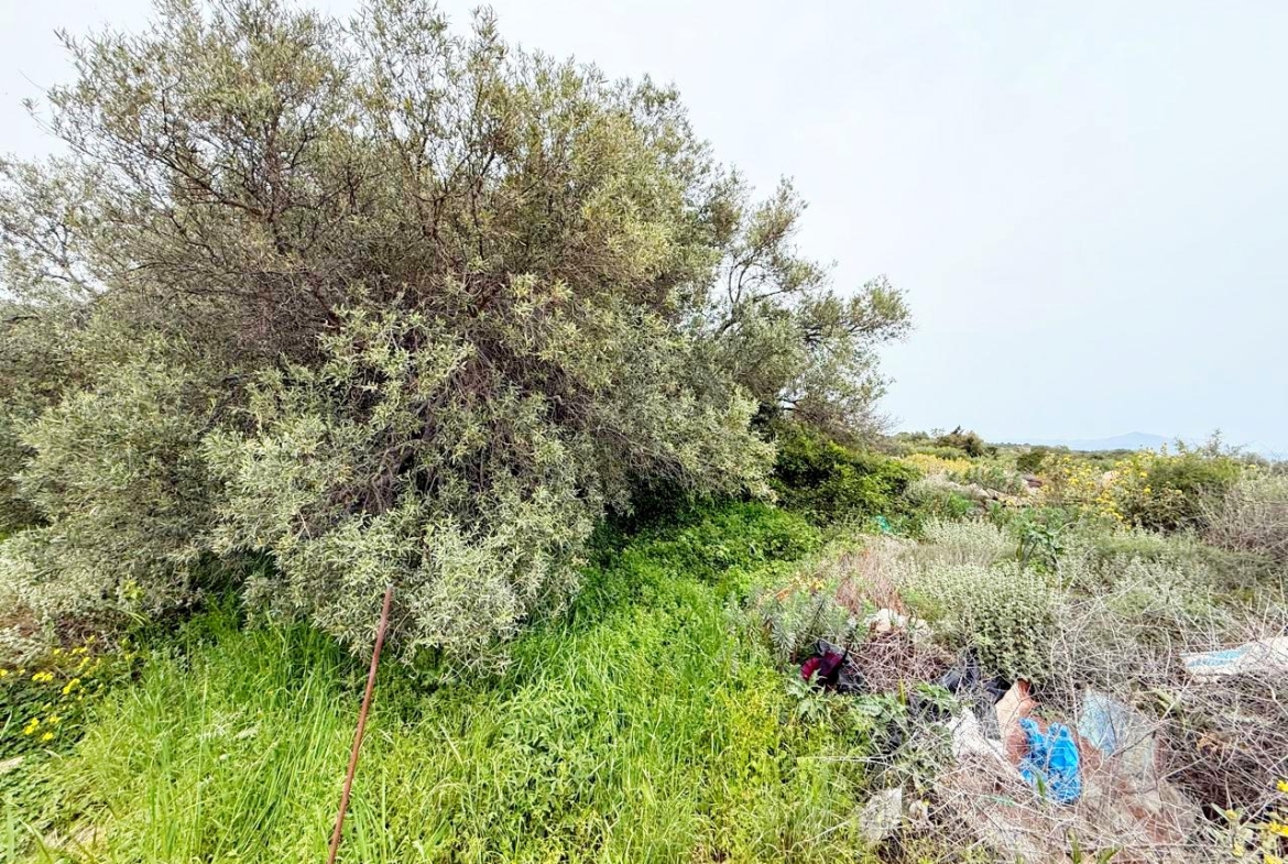 whatsapp image 2026 04 16 at 10.20.23 am