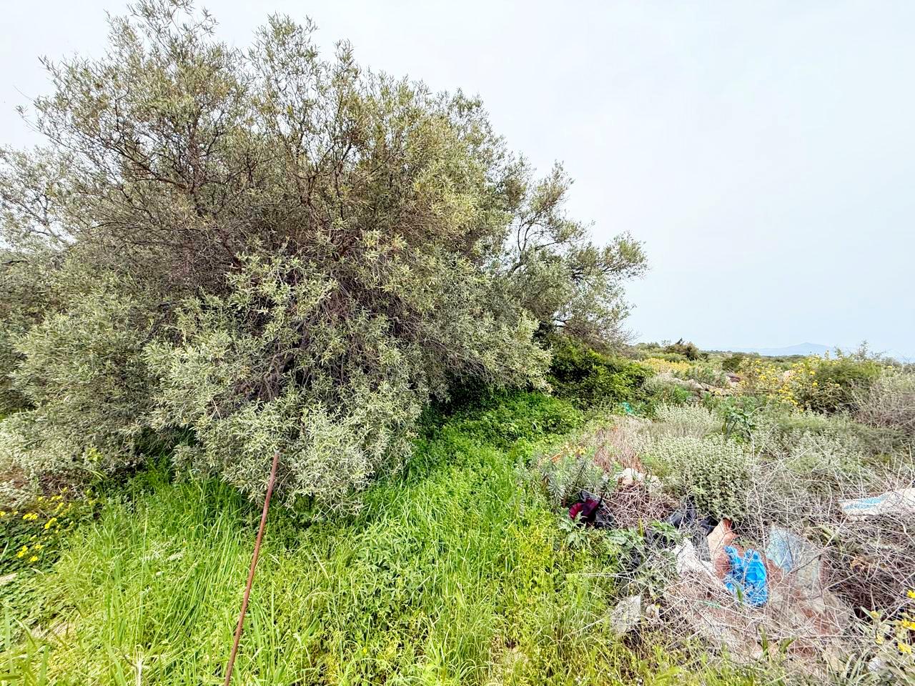 whatsapp image 2026 04 16 at 10.20.23 am