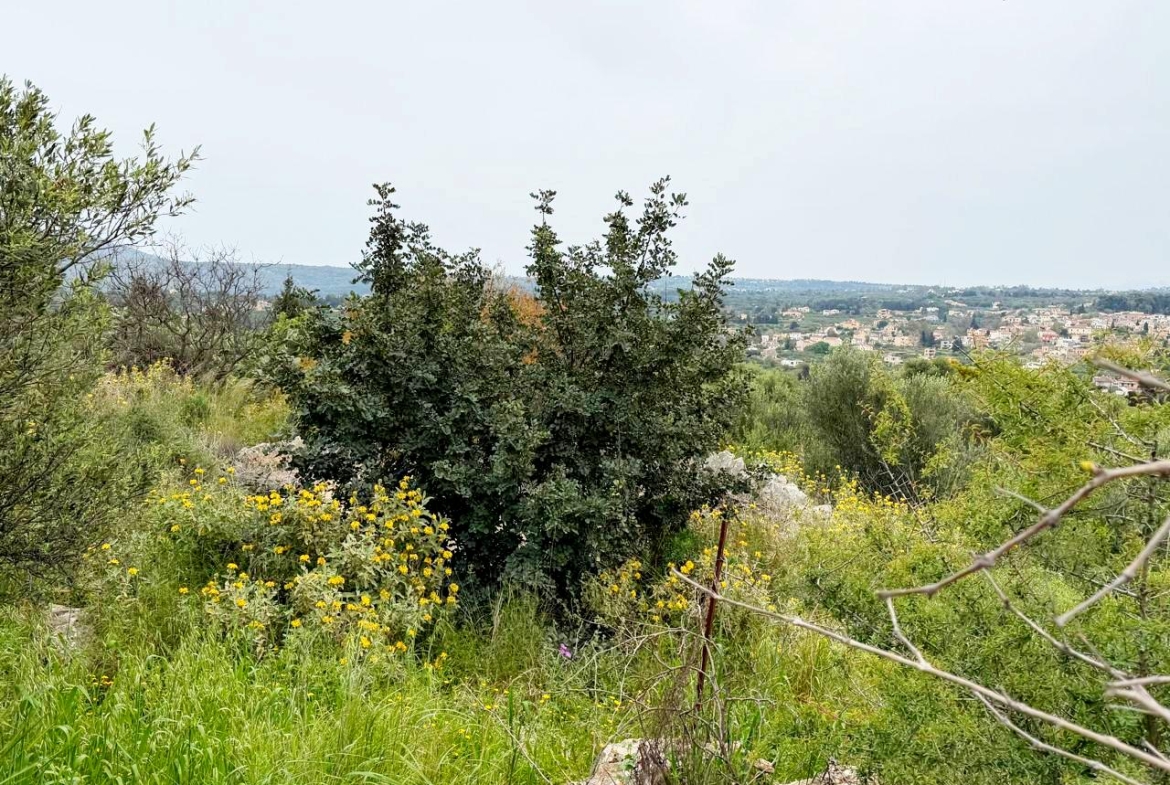 whatsapp image 2026 04 16 at 10.20.27 am (1)