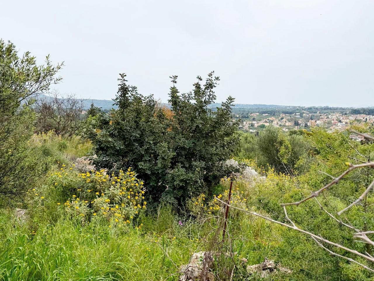 whatsapp image 2026 04 16 at 10.20.27 am (1)