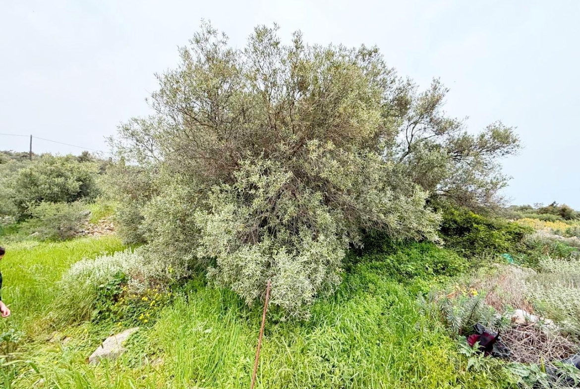 whatsapp image 2026 04 16 at 10.20.27 am