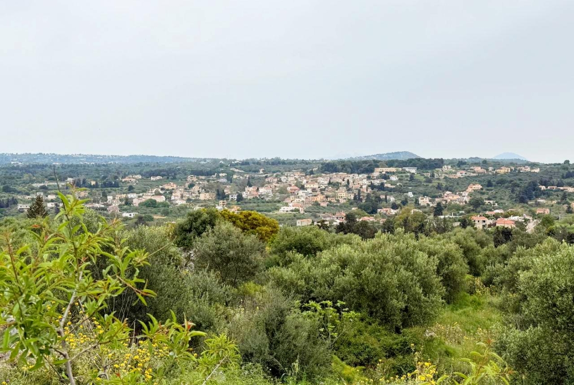 whatsapp image 2026 04 16 at 10.20.27 am (2)