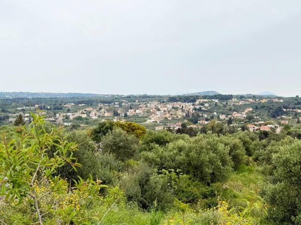 whatsapp image 2026 04 16 at 10.20.27 am (2)