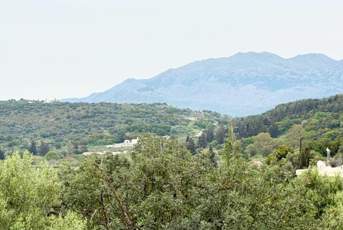 whatsapp image 2026 04 16 at 10.20.27 am (3)