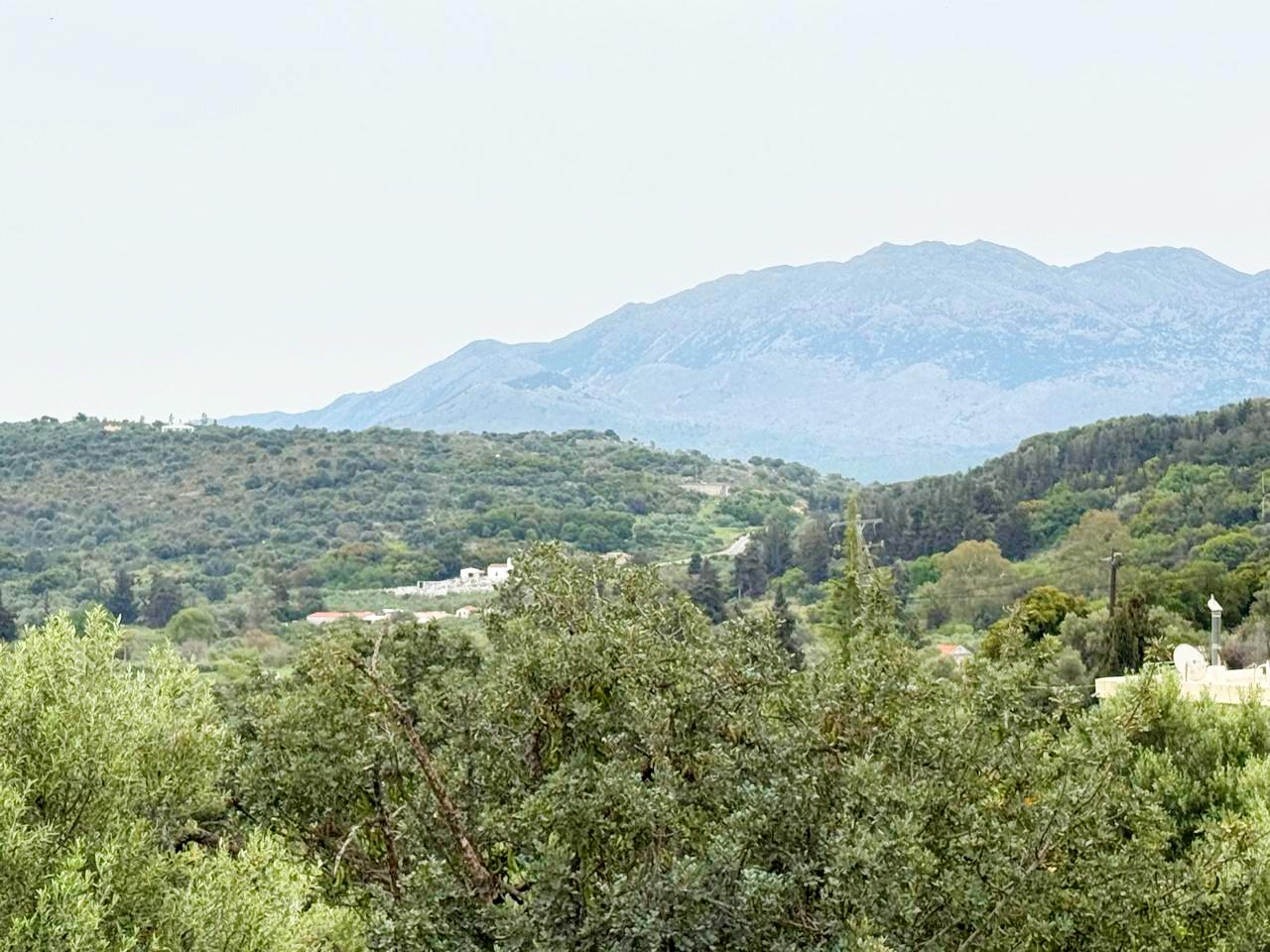 whatsapp image 2026 04 16 at 10.20.27 am (3)