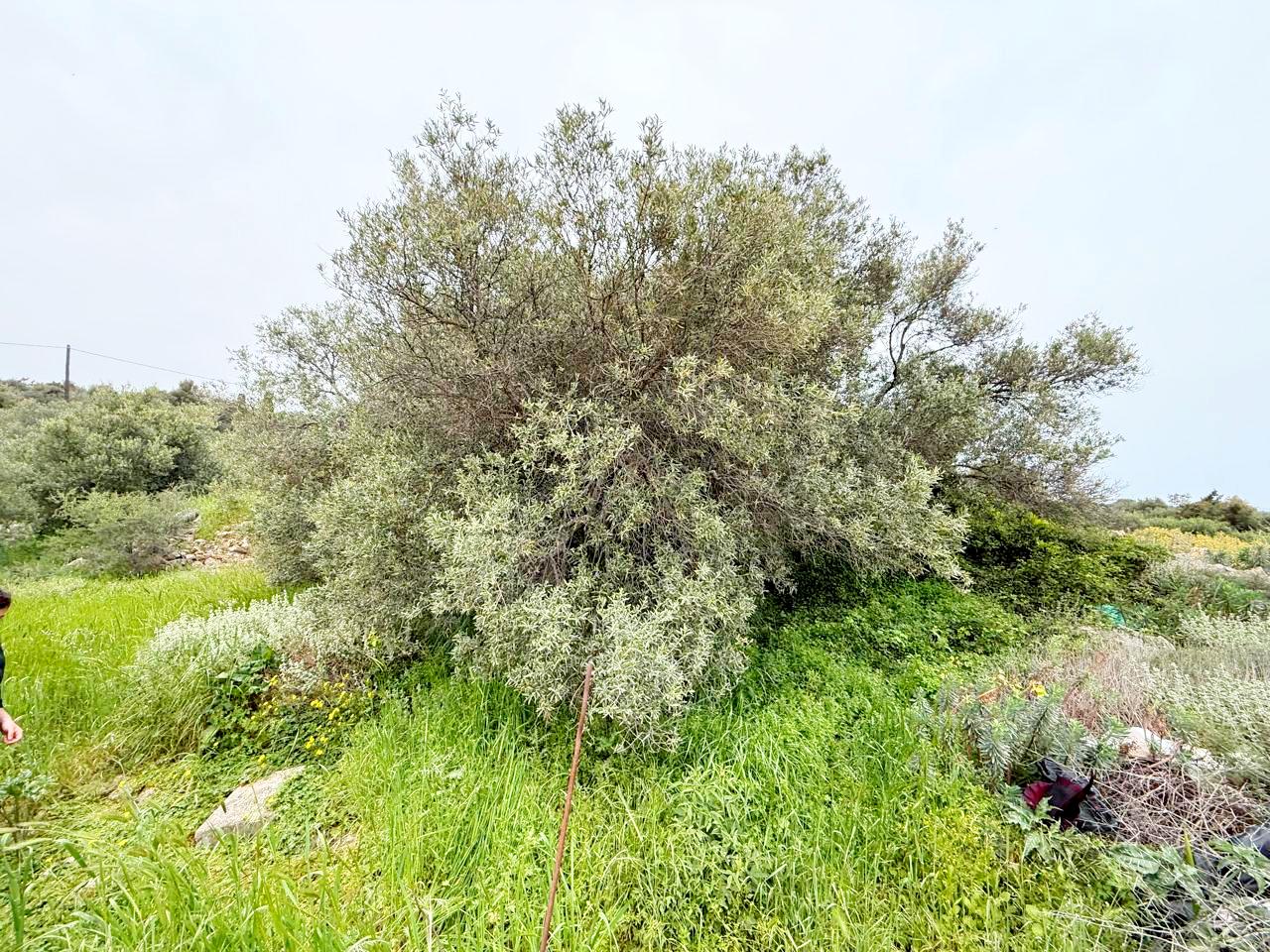 whatsapp image 2026 04 16 at 10.20.27 am