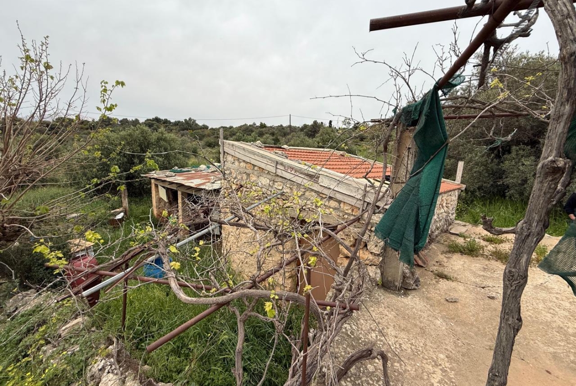 whatsapp image 2026 04 16 at 10.20.28 am (1)