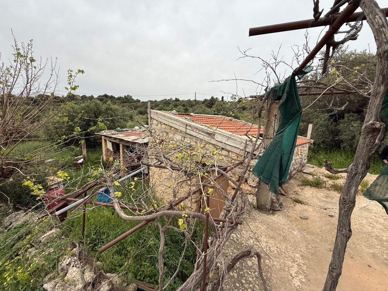 whatsapp image 2026 04 16 at 10.20.28 am (1)