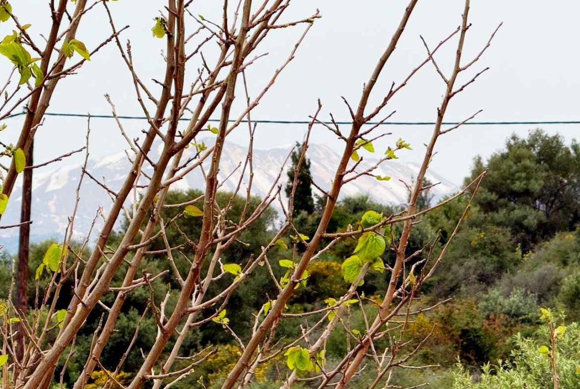 whatsapp image 2026 04 16 at 10.20.28 am