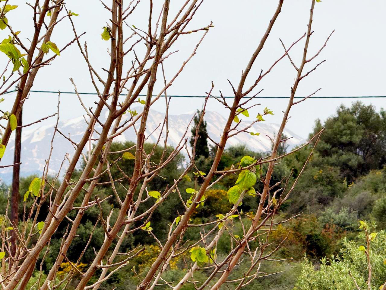 whatsapp image 2026 04 16 at 10.20.28 am