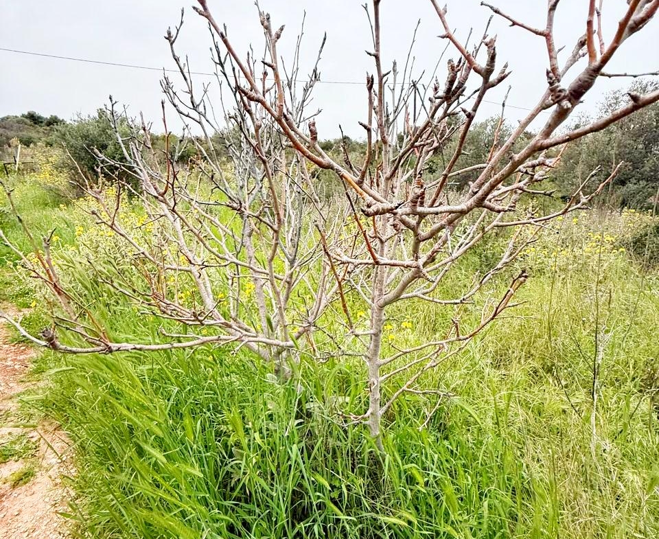 whatsapp image 2026 04 16 at 10.20.29 am (1)