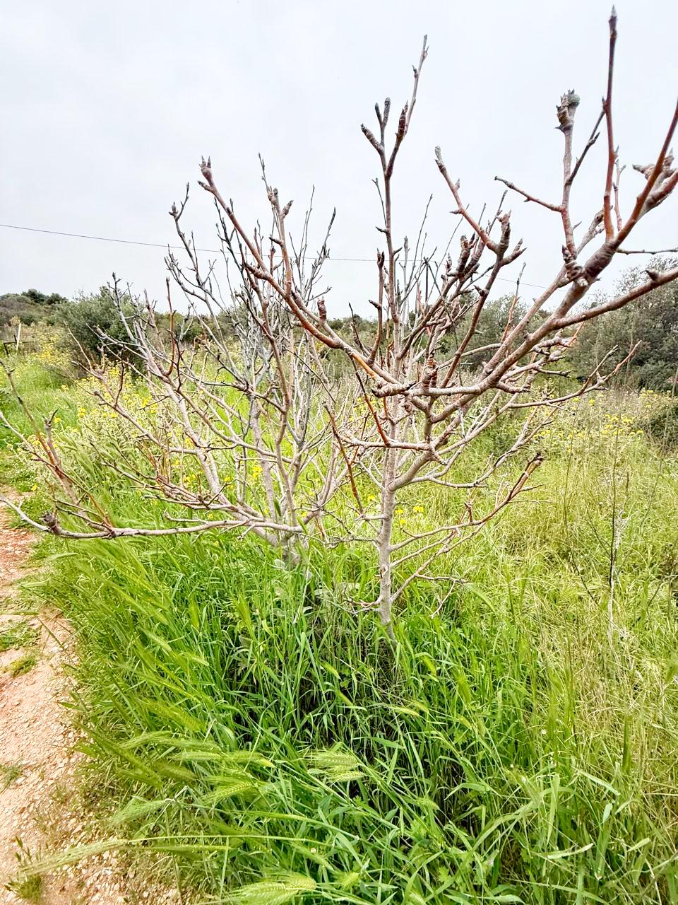 whatsapp image 2026 04 16 at 10.20.29 am (1)