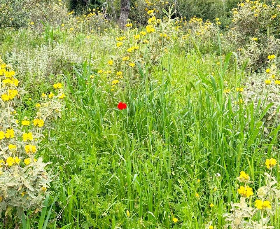 whatsapp image 2026 04 16 at 10.20.29 am (2)