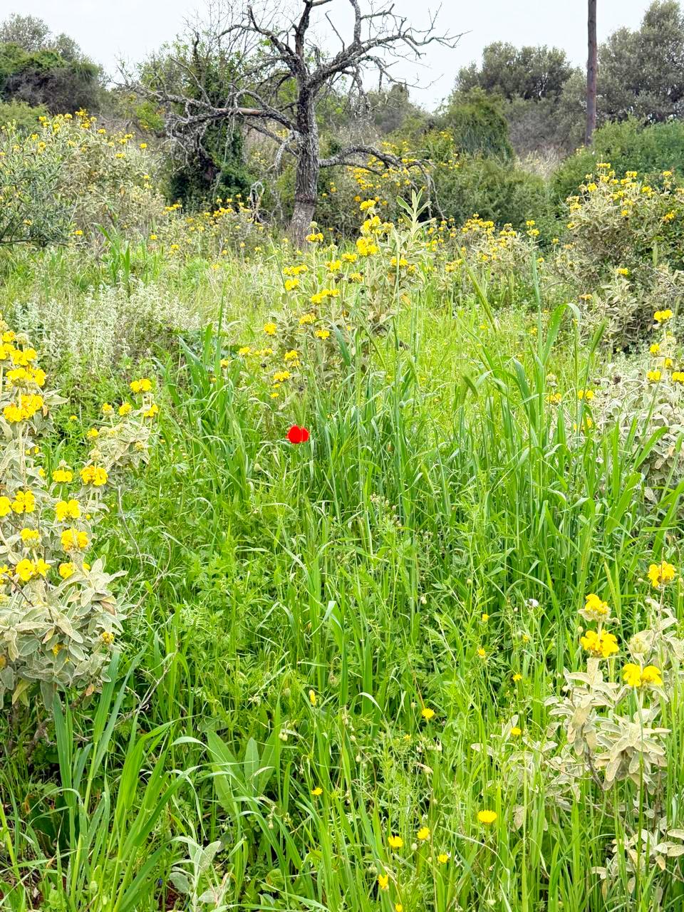 whatsapp image 2026 04 16 at 10.20.29 am (2)