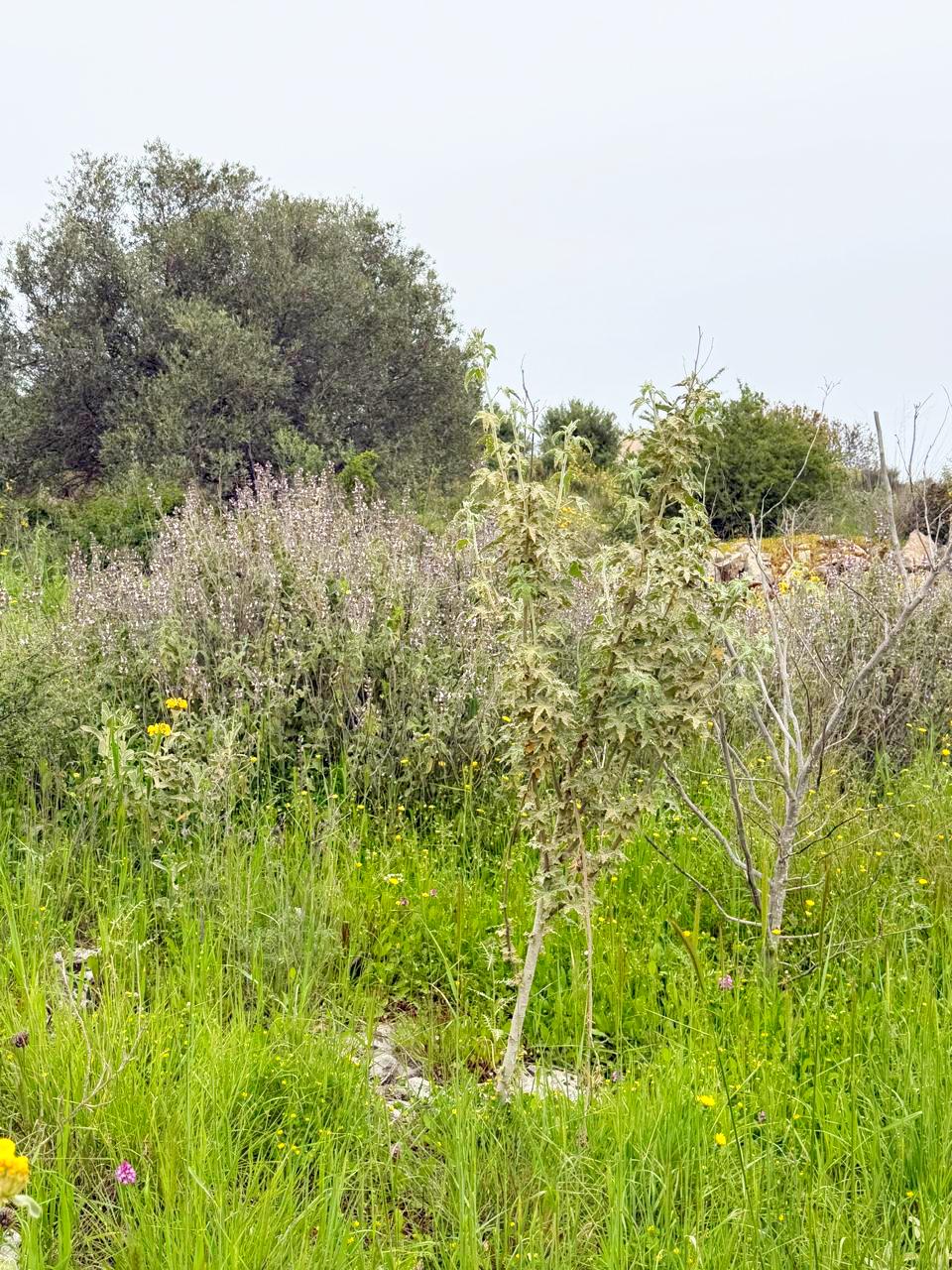 whatsapp image 2026 04 16 at 10.20.29 am (3)