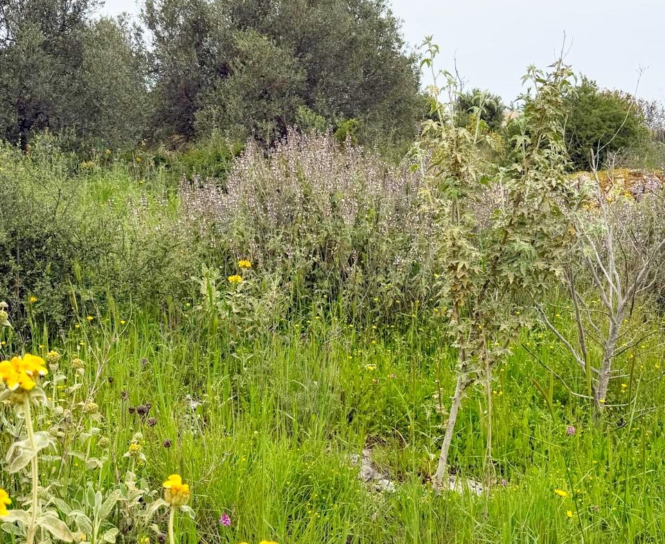 whatsapp image 2026 04 16 at 10.20.29 am (4)