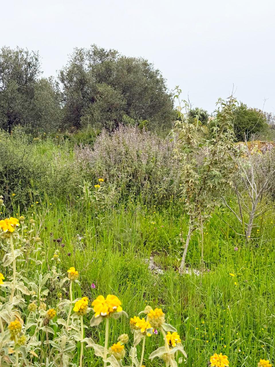 whatsapp image 2026 04 16 at 10.20.29 am (4)