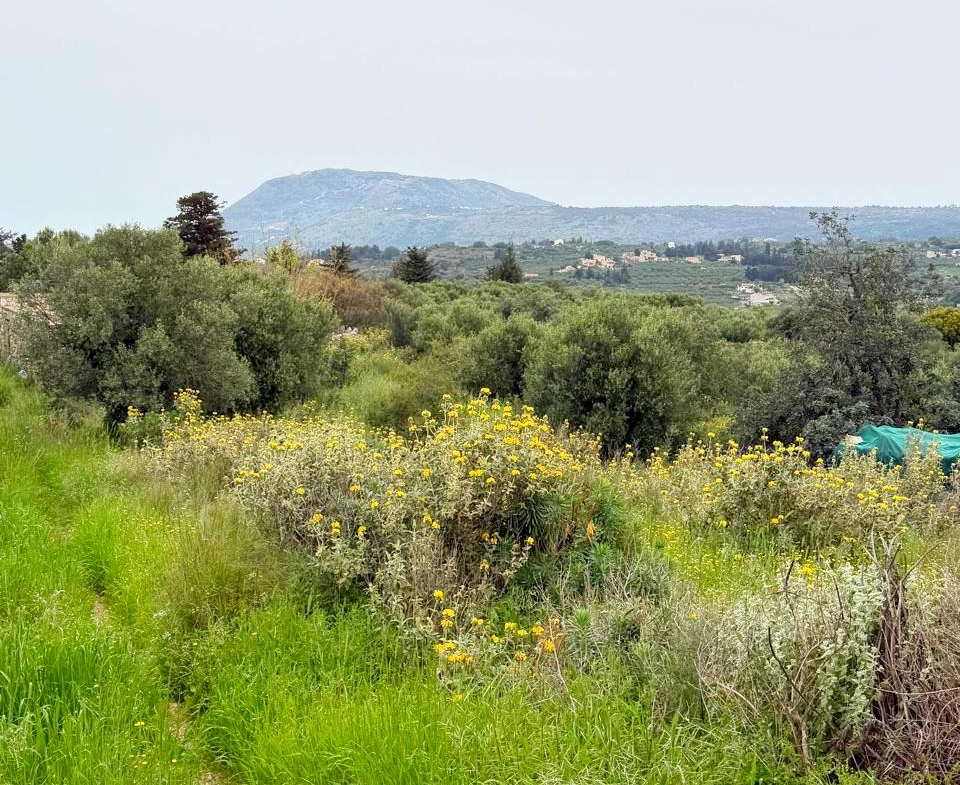 whatsapp image 2026 04 16 at 10.20.29 am (6)