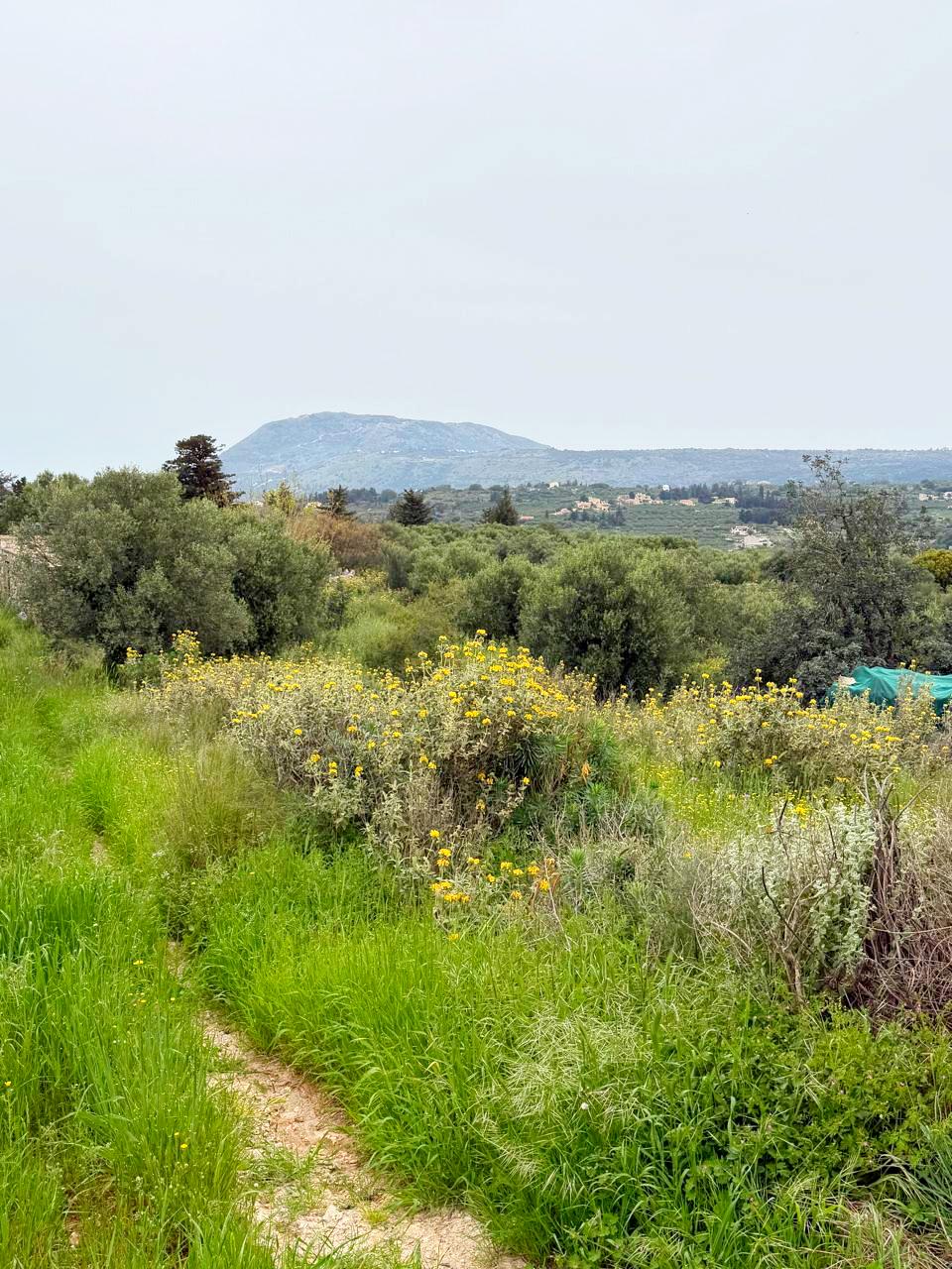 whatsapp image 2026 04 16 at 10.20.29 am (6)