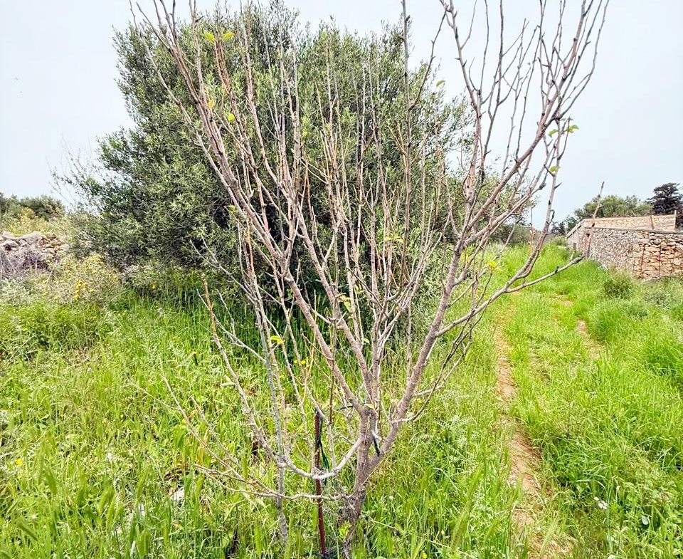 whatsapp image 2026 04 16 at 10.20.29 am