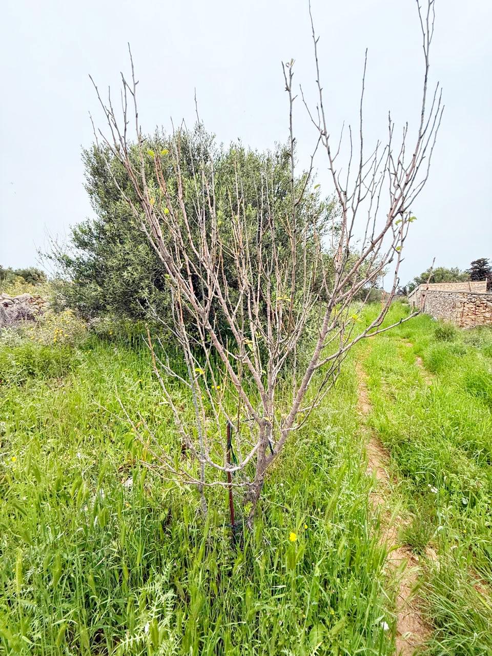 whatsapp image 2026 04 16 at 10.20.29 am