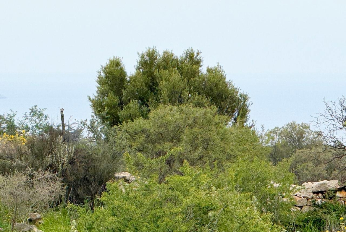 whatsapp image 2026 04 16 at 10.20.30 am