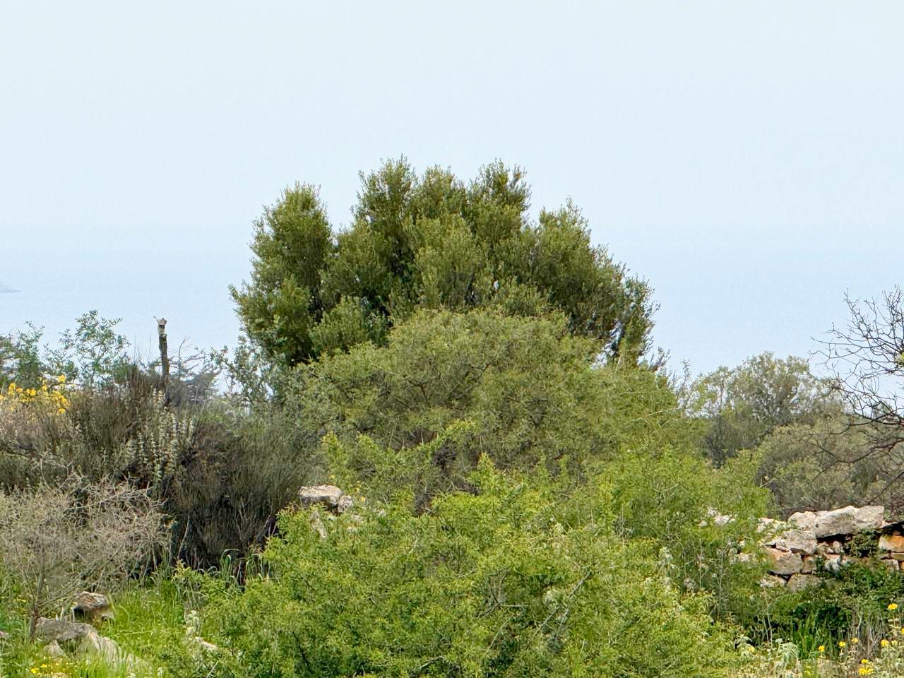 whatsapp image 2026 04 16 at 10.20.30 am