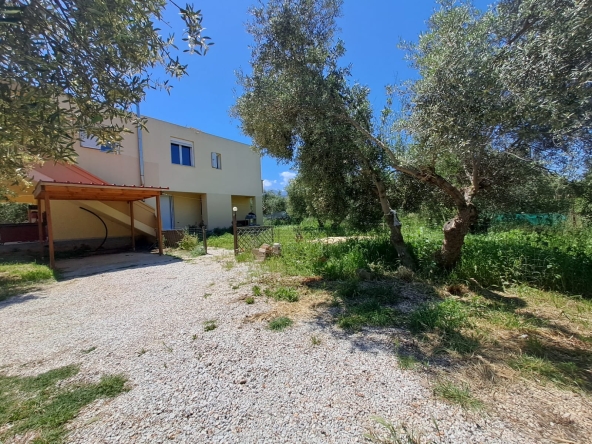 whatsapp image 2026 04 28 at 2.43.10 pm (1)