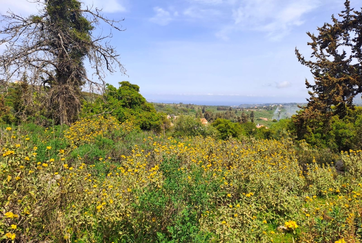 view of the built position, upper plot