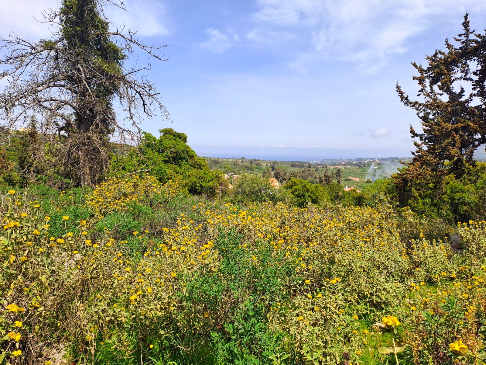 view of the built position, upper plot