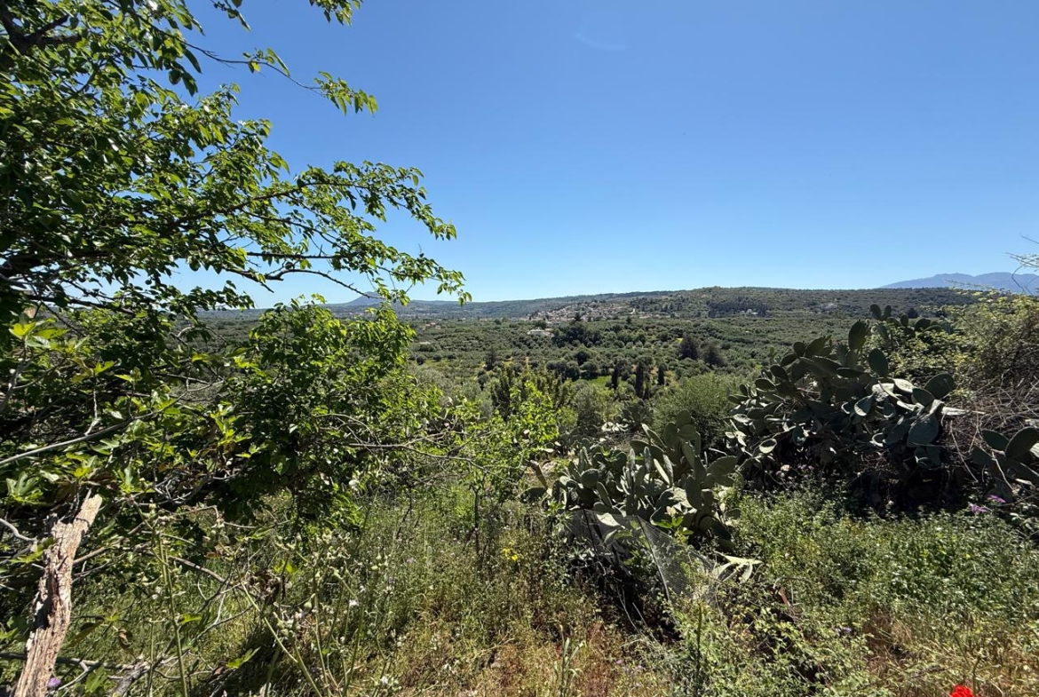 bc18b15d 4ab2 4373 9f2b 4d2bb0250e61