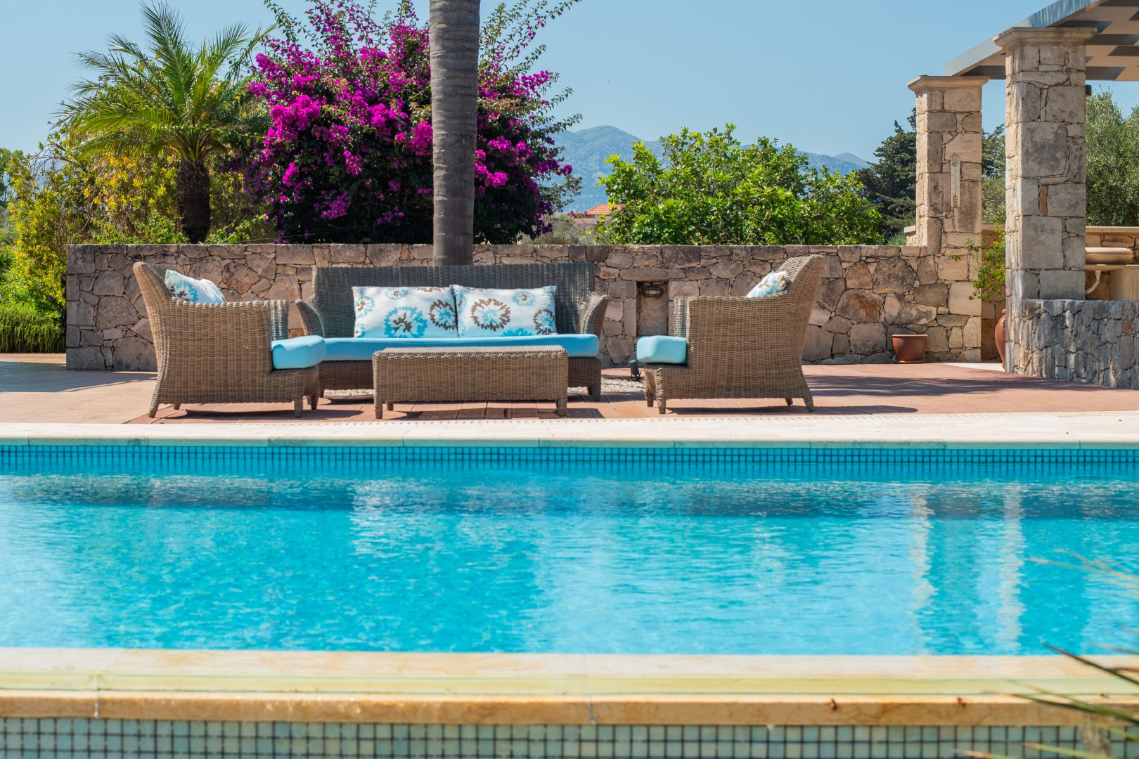 zeus 19 