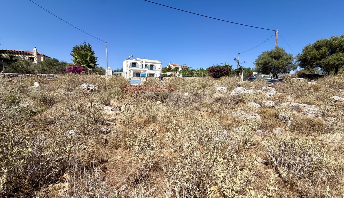 img 0418