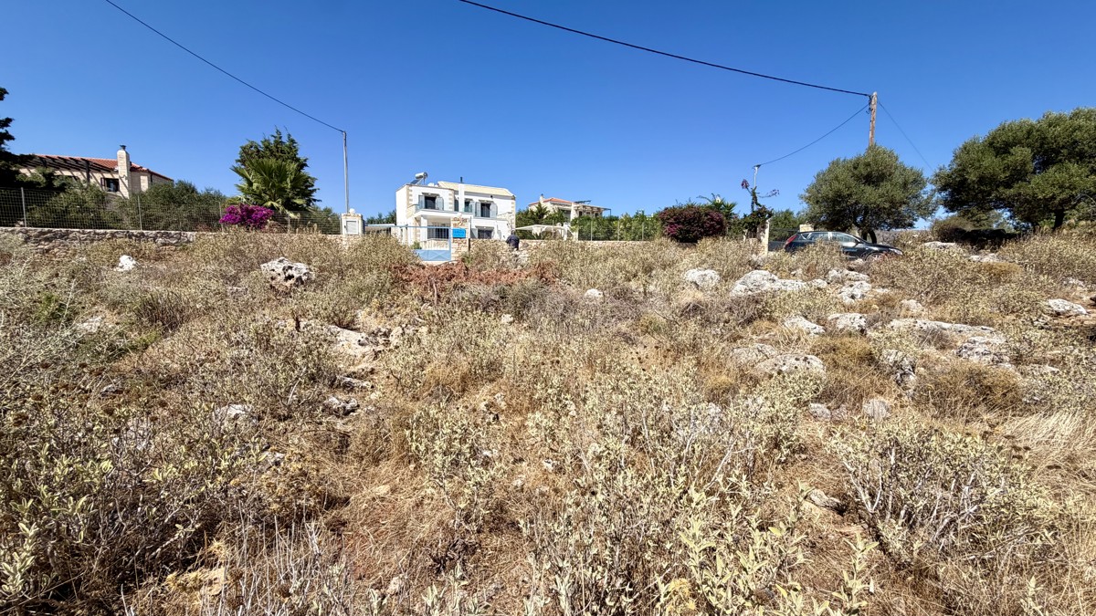img 0418