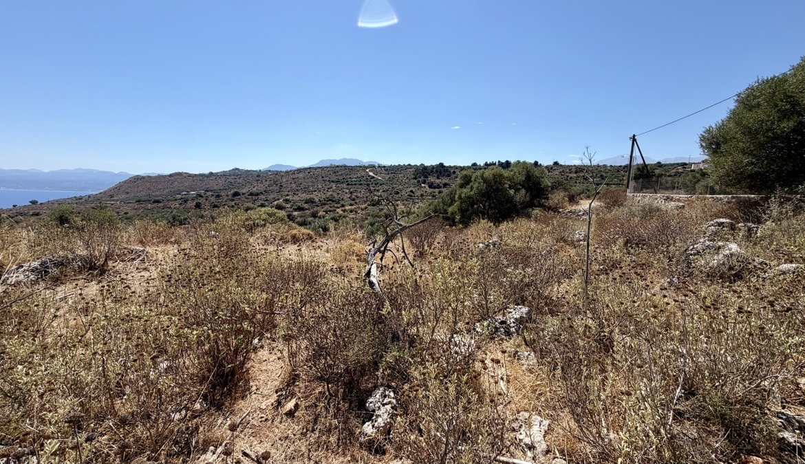 img 0420