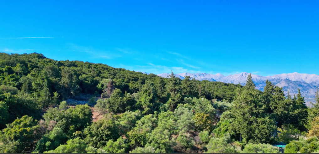 Στιγμιότυπο οθόνης 2026 10 13 131644