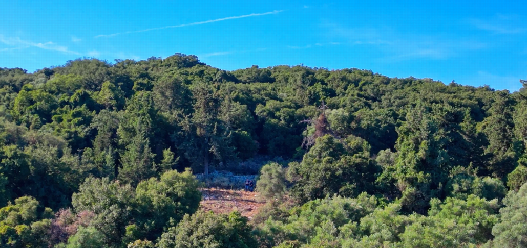 Στιγμιότυπο οθόνης 2026 10 13 131740